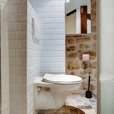 Amélie - Authentic 2br Saint-andré Des Arts Historic Courtyard * Parigi