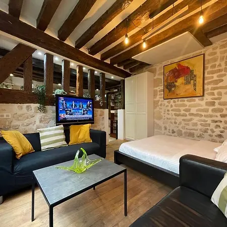 Amélie - Authentic 2br Saint-andré Des Arts Historic Courtyard